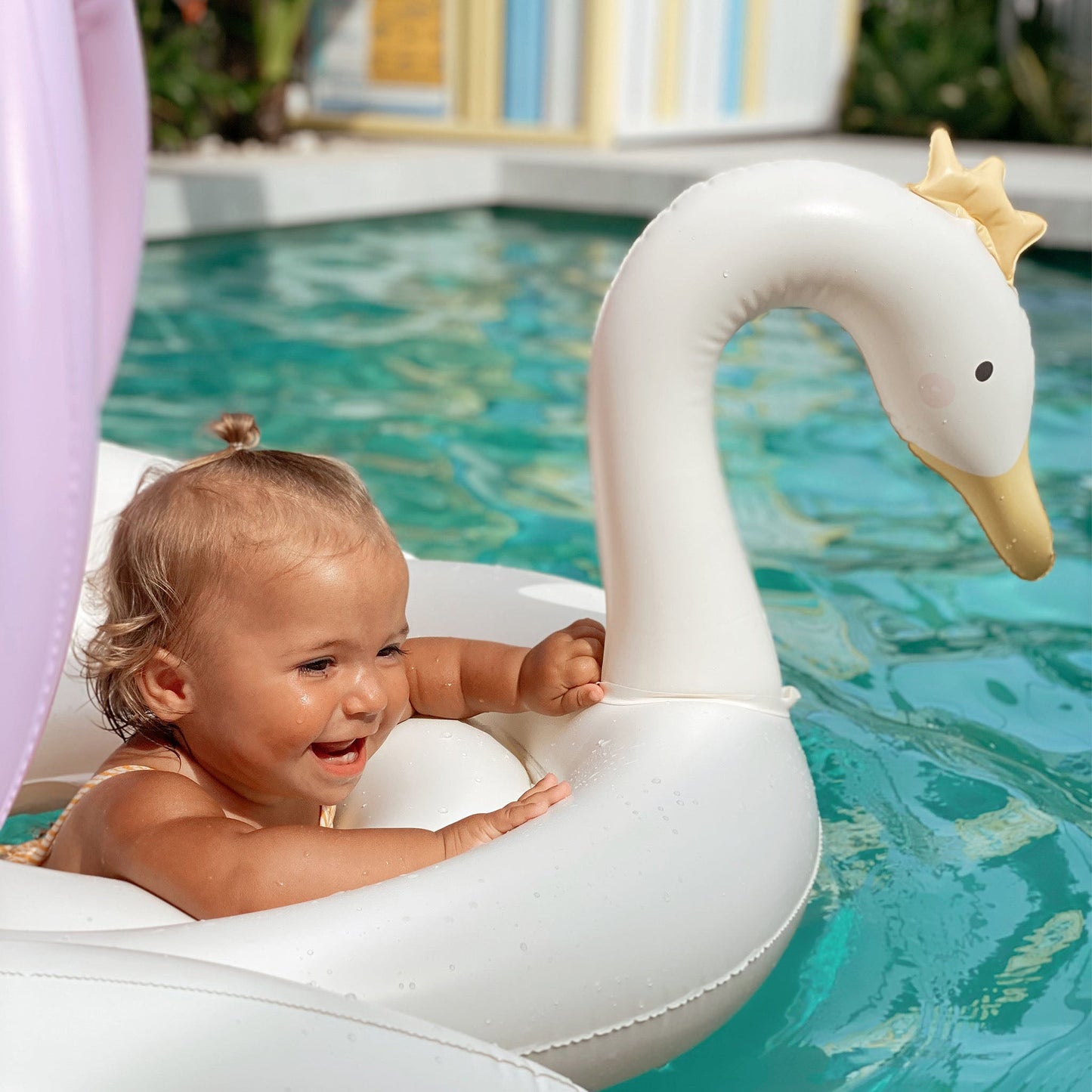 SWAN FLOAT ( 3-36 MONTHS )